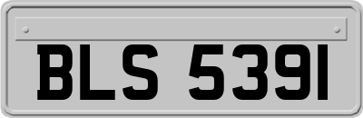 BLS5391