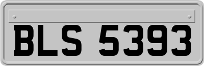 BLS5393
