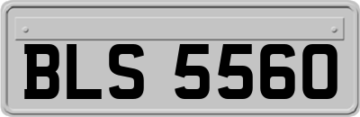 BLS5560