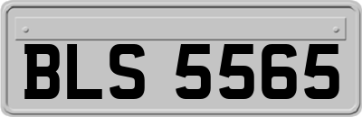 BLS5565