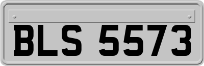 BLS5573