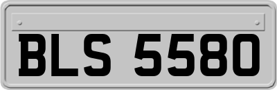 BLS5580