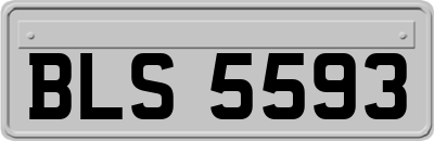 BLS5593