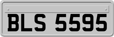 BLS5595