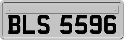 BLS5596