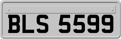 BLS5599