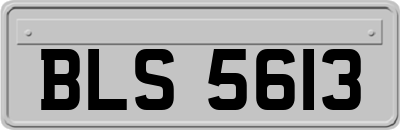 BLS5613
