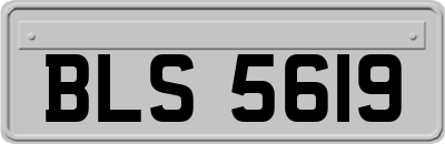 BLS5619
