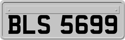 BLS5699