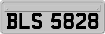 BLS5828
