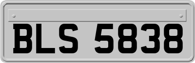 BLS5838