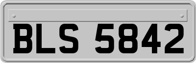 BLS5842