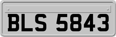 BLS5843