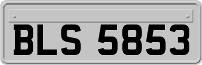 BLS5853