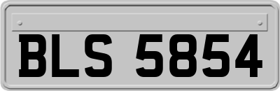 BLS5854