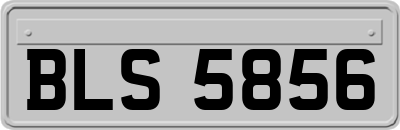 BLS5856