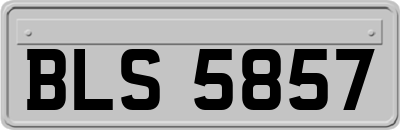 BLS5857