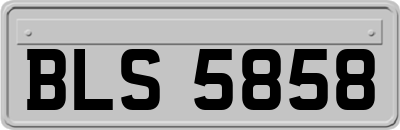 BLS5858