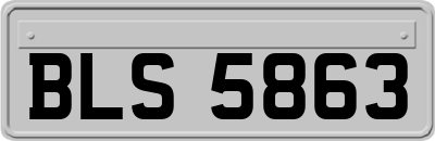 BLS5863