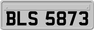 BLS5873