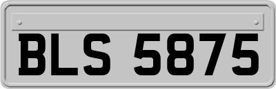 BLS5875