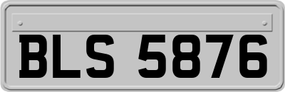BLS5876