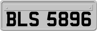 BLS5896