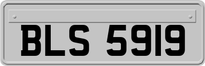 BLS5919