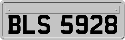 BLS5928