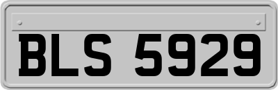 BLS5929