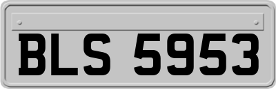 BLS5953