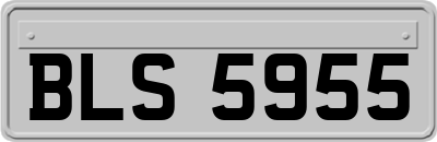 BLS5955
