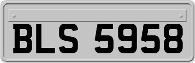 BLS5958