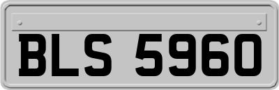 BLS5960