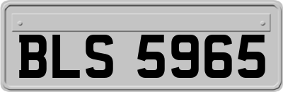 BLS5965