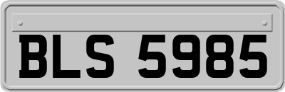 BLS5985