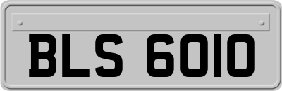 BLS6010