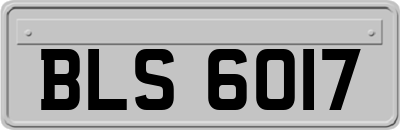 BLS6017