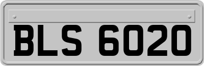 BLS6020