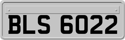 BLS6022