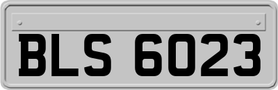 BLS6023