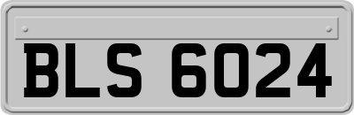 BLS6024