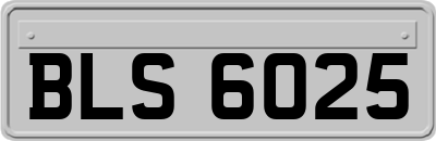 BLS6025