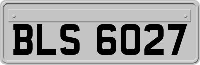 BLS6027