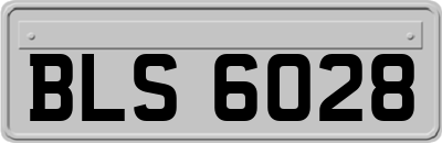 BLS6028