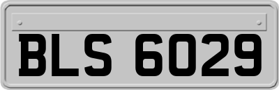 BLS6029