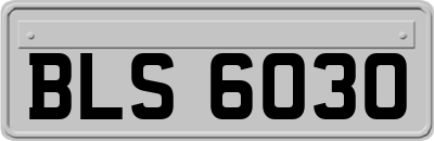 BLS6030