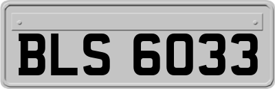BLS6033