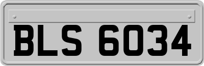 BLS6034