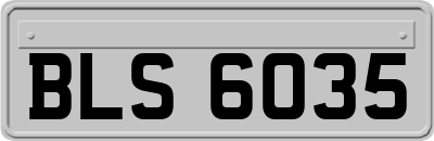 BLS6035